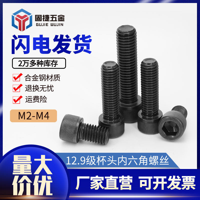 M2M2 5M3M4]TUZ12 Grade 9 High Strength Black Alloy Steel Cup Head Cylindrical Head Hexagon Socket Screw