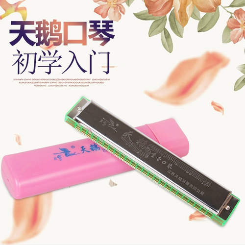 天鹅 24 Kong Chung Yinhuzin C Tuqin Piano для взрослых новичка играет в историю детей