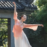 Классическая танцевальная одежда для женщин, элегантный китайский стиль, вышитый танцевальный топ