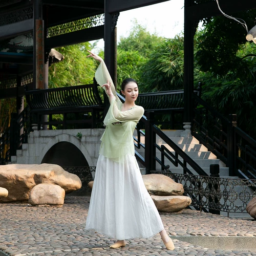 Классическая танцевальная одежда для женщин, элегантный китайский стиль, вышитый танцевальный топ