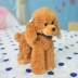 Dễ thương Teddy puppy đồ chơi sang trọng mô phỏng chó poodle búp bê trẻ em búp bê cô gái siêu dễ thương chó - Đồ chơi mềm Đồ chơi mềm