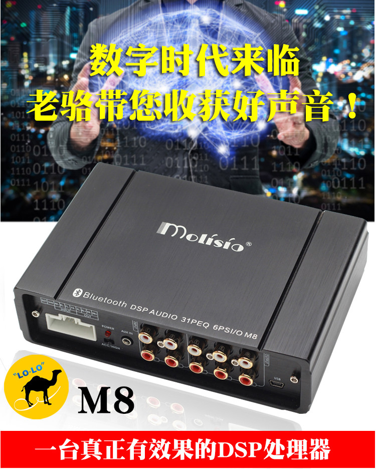 MOLISIO car audio speaker conversion package DSP audio processor tweeter 10 inch subwoofer amplifier