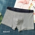 Single tước sọc sọc đồ lót nam boxer xu hướng thanh niên đồ lót nam cotton thoáng khí quần short boxer quần lót phụ nữ Võ sĩ quyền Anh