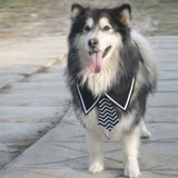 Галстук-бабочка, чокер с бантиком, галстук, шарф, аксессуары, домашний питомец