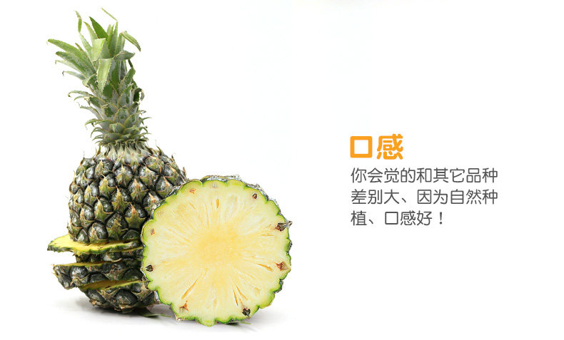 西域美农 云南蜜香菠萝 净重9斤 图5