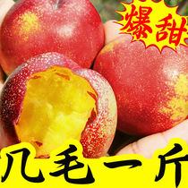 Yellow heart nectarine spot 5 pounds of fresh fruit should be picked by pregnant women in season Crispy sweet peaches large peaches whole box 10