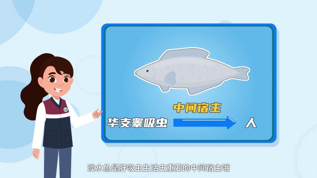 MG二维动画定制服务商