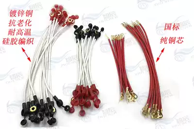 National Standard 2 square pure copper electric vehicle battery connection line 20 30CM high temperature resistant fire wire Tricycle battery line