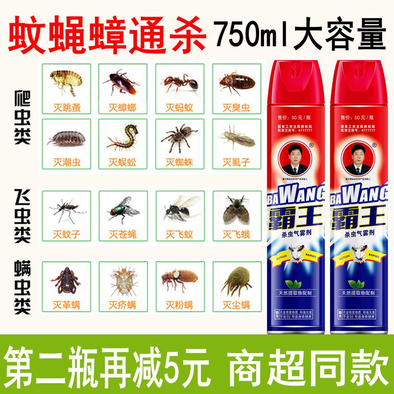 Insecticide household aerosol indoor fleas flies small flying insects spray bed bugs kill mosquito medicine spray