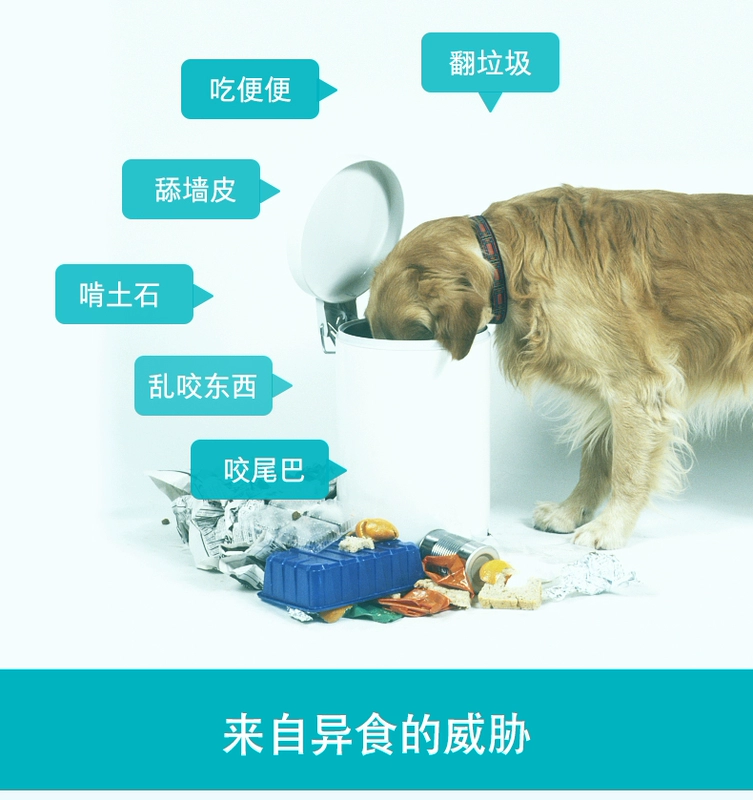 Wei Shi dog viên vi nguyên tố bảo vệ Thú cưng Golden Retriever 癖 chó mèo 啃 chán ăn 400 viên - Cat / Dog Health bổ sung