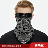 Цветок кешью JC020