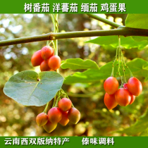 2 catties of fresh tree tomato foreign tomato Burmese tomato egg fruit Yunnan vegetable cheap restaurant hotel ingredients