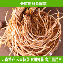 750g SF Yunnan specialty fresh Houttuynia cordata folded ear root direct sales welcome restaurant ingredients