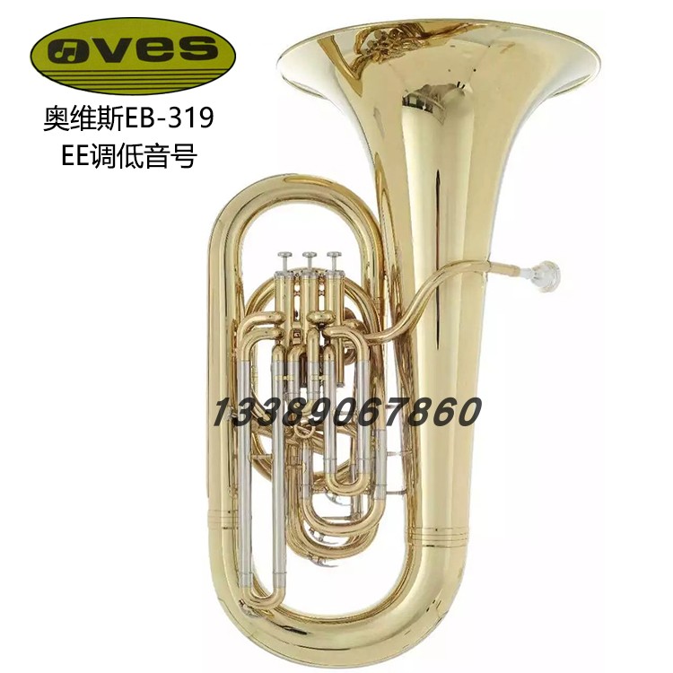 Tianjin OVES OVES EB - 319 EEb lowers the number of Western tube instruments