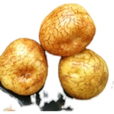 Zhang xiaoweu da liangshan Подлинная высокая гора старый сорт Carse картофельный картофельный картофель лапша