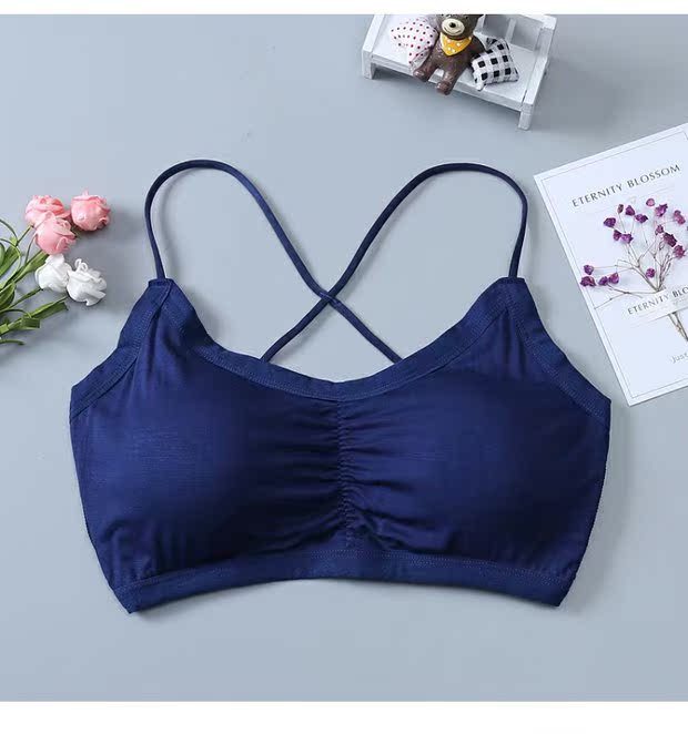 Mùa hè làm đẹp trở lại dây đeo vest nữ cảm giác chéo đai quấn ngực ống đồ lót hàng đầu nữ sinh viên Hàn Quốc phần mỏng - Ống áo ngực