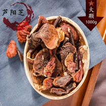 Official website Lu YangzhiBig1000g Buy 2 get 1 free Lu Yang Ganoderma lucidum anti-counterfeiting verification