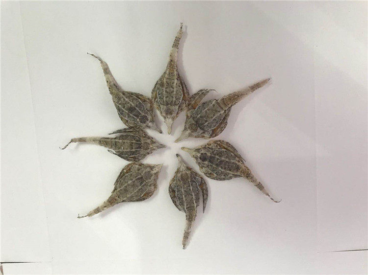 Shantou Haiyan dry goods 15 only about 20 gr local sea sparrow seabirds soup with a mix of sparkling wine material 