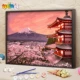 G603-Mount Fuji Cherry Blossom
