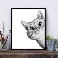 G517 White Cat