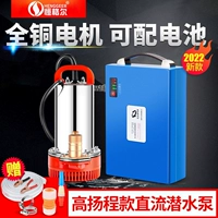 DC Погрузка на насос 12V24V48V60V VOLTIC ATCHANTIC ATACTING MACHINE Небольшое насосное насос с высокой высокой зарядкой