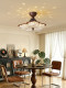 Bedroom Ceiling Light 2026 New Model Warm and Romantic Floral Main Bedroom Children's Room Sunset Starry Atmosphere Main Light
