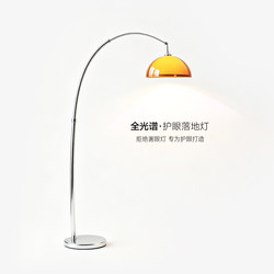 Fishing Floor Lamp 2026 New Model, High-End Standing Lamp Next to the Sofa in the Living Room, Super Stylish Atmosphere Lamp for the Bedroom