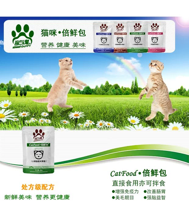 Mèo nghịch ngợm Thức ăn ướt Mèo non Thịt tươi Túi 88G Cá hồi Hương vị Mèo Ăn vặt Mèo tươi 10 Gói