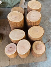 Резной стул 北欧实木圆凳服装店木墩原木树桩木桩摆件根雕凳子木墩子换鞋凳