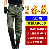 Зеленая армия чистой хлопка [шесть карманов] 2 установки