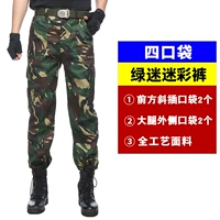 Зеленая искатель [четыре кармана