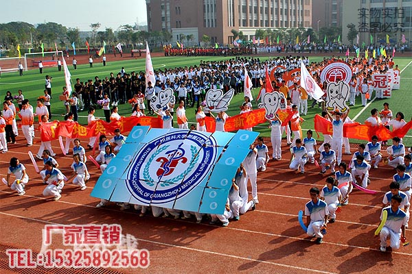 Hand holding transformation jigsaw puzzle background pattern sports meeting admission opening ceremony group gymnastics phalanx cheering props