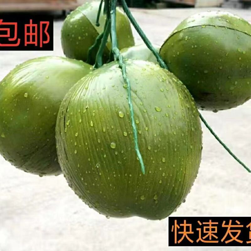 Simulated Coconut Tree Fruit Model Fake Fruit Props Tropical Fruit Decoration Props Palm Tree Fake Fruit