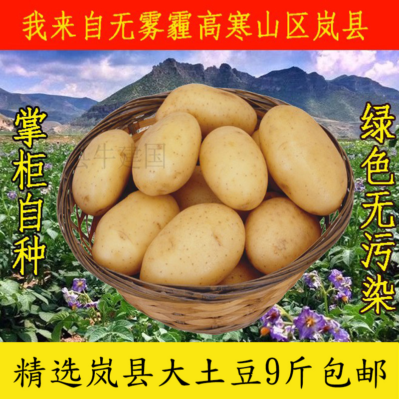 In the past 21 years, the Lanxian farmhouse is now digging yellow heart potatoes, large potato noodles, non-genetically modified potatoes with a box of 10 catties