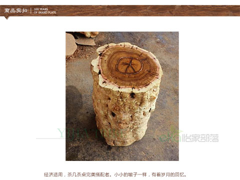 Cây táo tàu cây táo tàu trụ gỗ rắn trụ hoa đứng tấm khung hoa đứng chân máy khắc bàn trà trụ phân - Các món ăn khao khát gốc Ghế đôn gốc cây