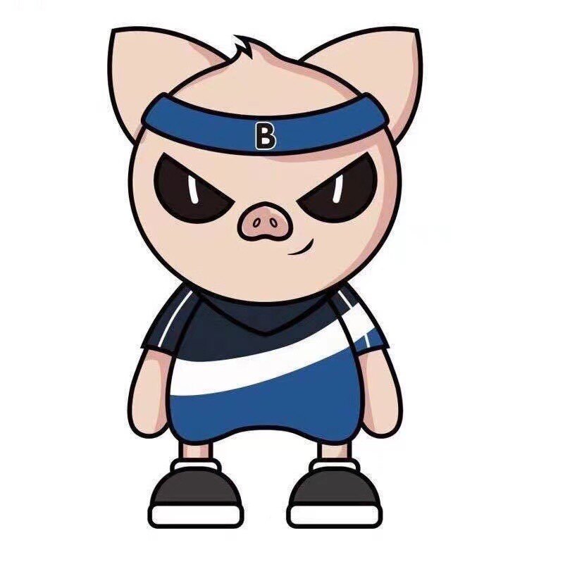 班尼猪Brineeg