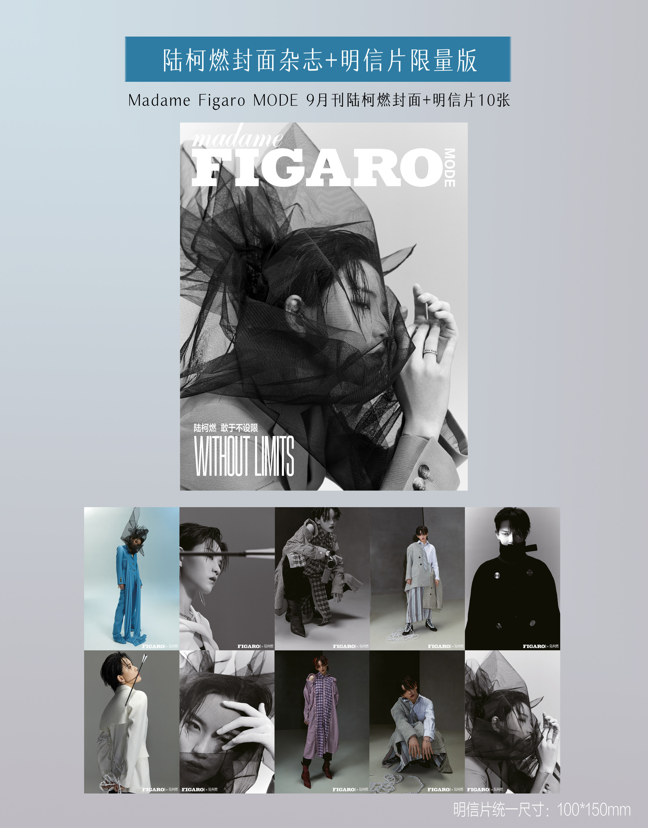 Official genuine version is counted in sales (THE9-Luke Burn Cover Official Limited Postcard 10 sheets) MadameFigaroMODE World Figaro Magazine 2020