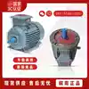 Brand Anhui Wannan original high efficiency motor vertical and horizontal 18 5KW 4-stage 1400RPM YX3-180M-4