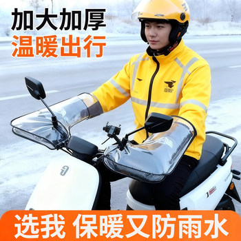 Electric rider grips