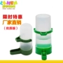 Người uống chim Lớn Anh lớn Anh trai vẹt Cup Thiết bị cho chim ăn Vẹt nhỏ Bộ nạp nước tự động - Chim & Chăm sóc chim Supplies 	cám cho chim chào mào non	