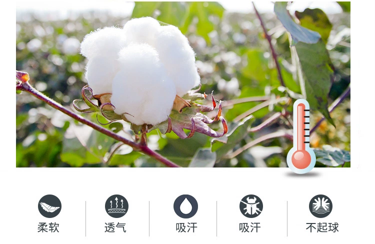 Phụ nữ vest ấm áp ở Nam Cực cộng với nhung dày cơ thể đồ lót lạnh của phụ nữ áo sơ mi mùa thu và mùa đông thắt chặt áo sơ mi BY áo giữ nhiệt nam hàn quốc