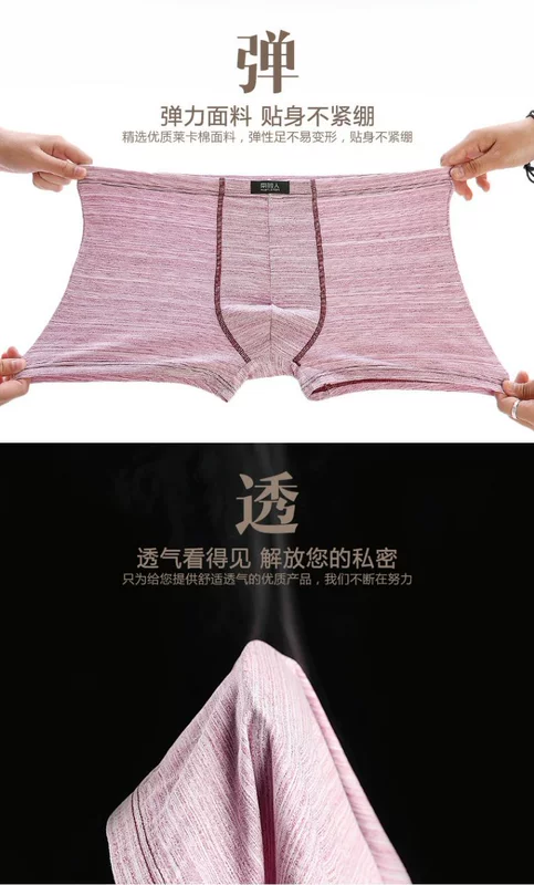 Nam Cực đồ lót nam võ sĩ nam cotton thoáng khí cotton bốn góc quần short đầu chàng trai thủy triều phiên bản Hàn Quốc OM