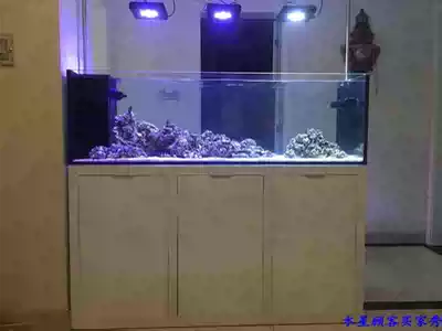 Mercury screen fish tank Seawater tank Living room compartment fish tank Coral reef rock tank SPS LPS bottom filter tank