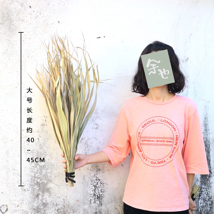 Palm Leaves, Cattail Fans, Dried Flowers, Large Areca Palm Leaves, Forest-Style Flower Shop Display, Soft Decoration, Arch, Wedding Decoration, Scene Arrangement Palm Leaves, Cattail Fans, Dried Flowers, Large Areca Palm Leaves, Forest-Style Flower Shop Display, Soft Decoration, Arch, Wedding Decoration, Scene Arrangement