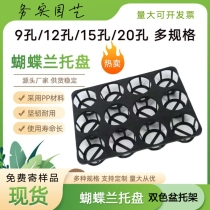 Phalaenopsis tray tray seedling pot bottom tray 12-hole tray two-color pot tray multi-succulent tray rack 15-hole hole tray
