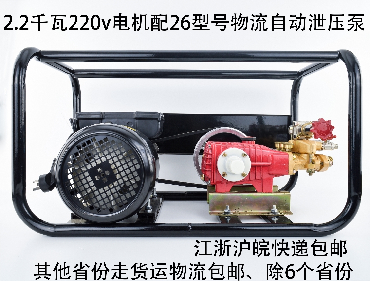 Ex-gratia agricultural electric nebulizer Home Electric 220v Spray Machine Triple Cylinder Plunger Pump Cleaner Physical Automatic Pump