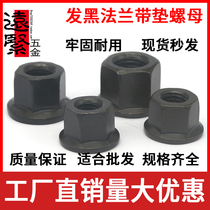 Blackened flange with pad nut hexagon flange face high nut Black platen mother M10M12M14M16M18M20