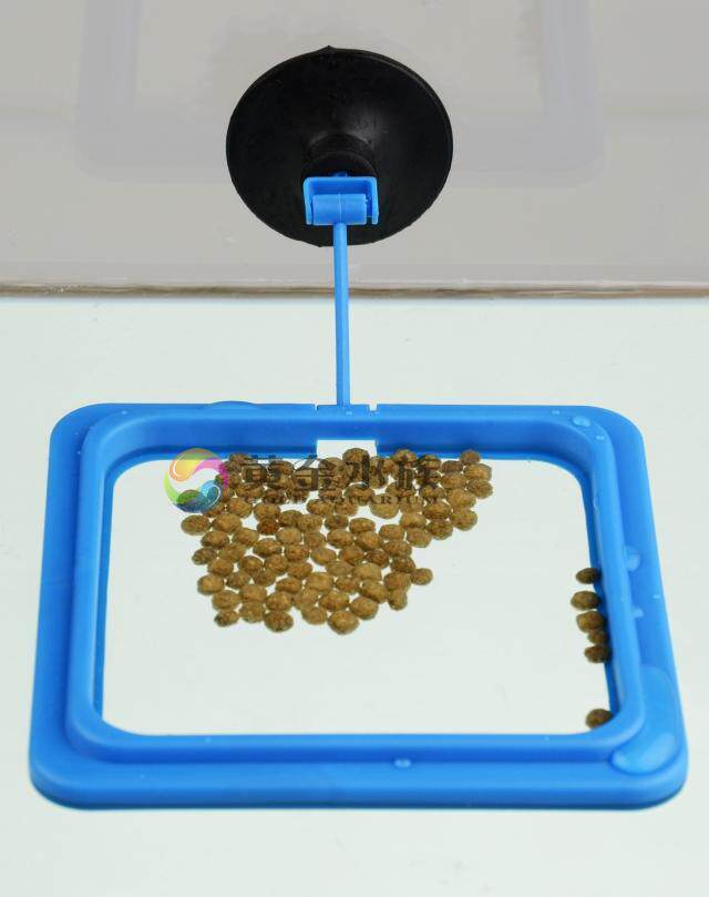 Feeding Circle Fish Tank Aquarium Feeding Circle Feeding special feeding machine Fish grain fish feed Anti-fish food floating around