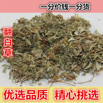 Authentic overturning of white grass 500g with root whole grass non-turned white grass tea with matching ground skin wild