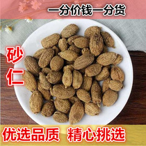 Authentic selection San Ren 500g Spring Sand Ren Sand Sand Ren Sand Rinzhen Sand Ren Sand Ren Sand Ren Sand Fruit